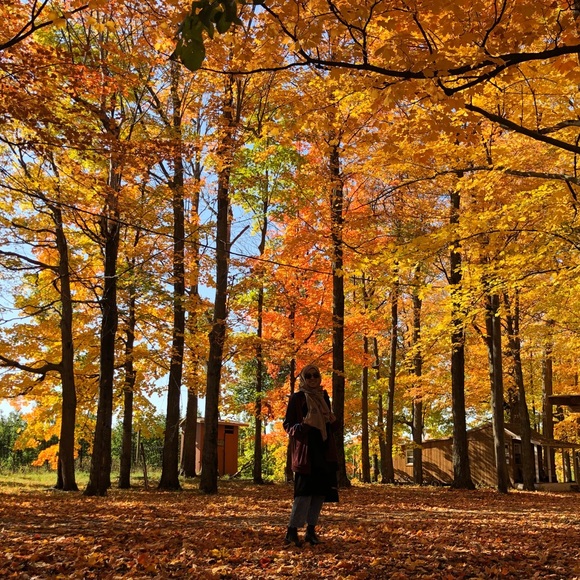 Meet your Posher, Amera - Picture 1 of 1